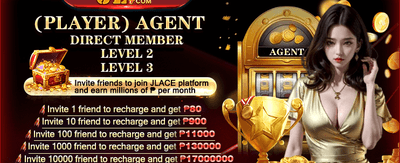 Partner Agency Program